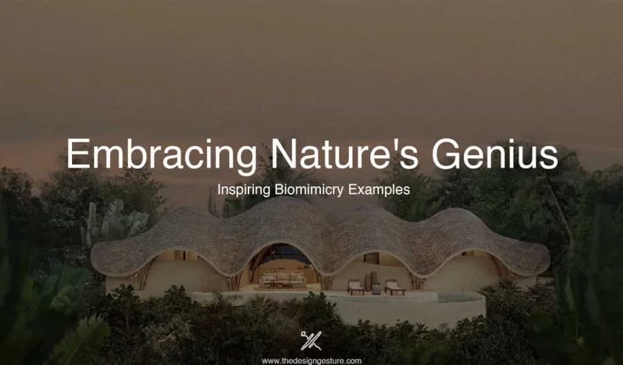 Embracing Nature’s Genius: Inspiring Biomimicry Examples