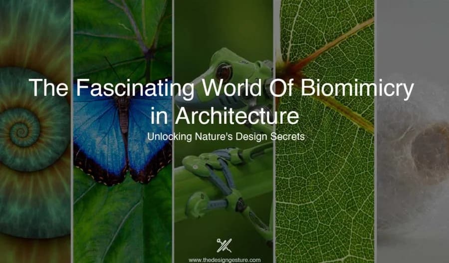 The Fascinating World Of Biomimicry in Architecture: Unlocking Nature’s Design Secrets
